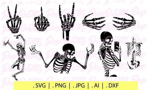 Download 419+ Skeleton SVG Cut File Cameo